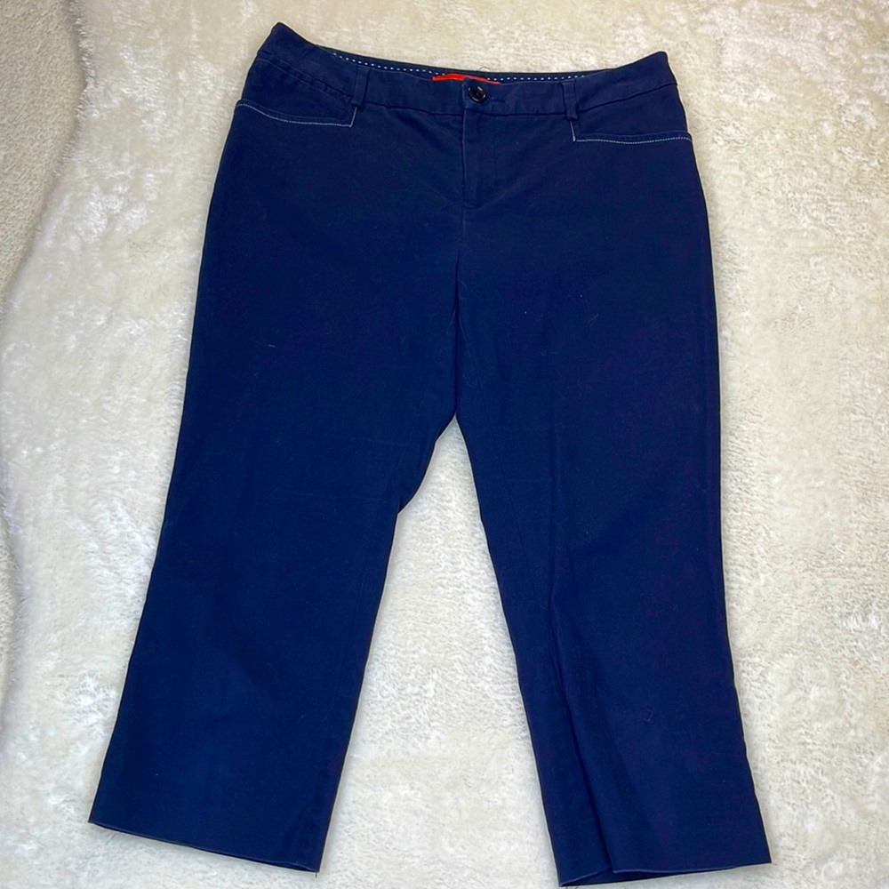 Anthropologie Cartonnier Navy Blue Capris Size 6